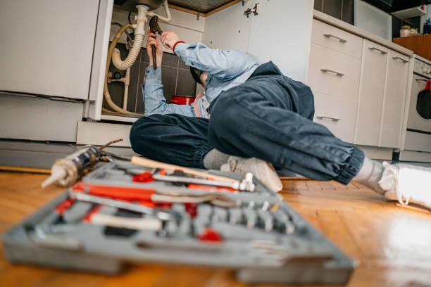 Best Plumbing Repair Near Me  in Mount Plymouth, FL