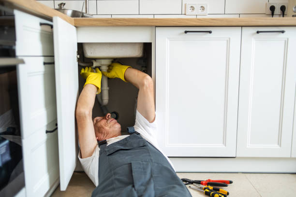 Best Toilet Repair Services  in Mount Plymouth, FL
