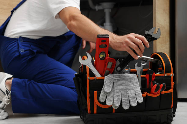 Best Clogged Drain Plumber  in Mount Plymouth, FL